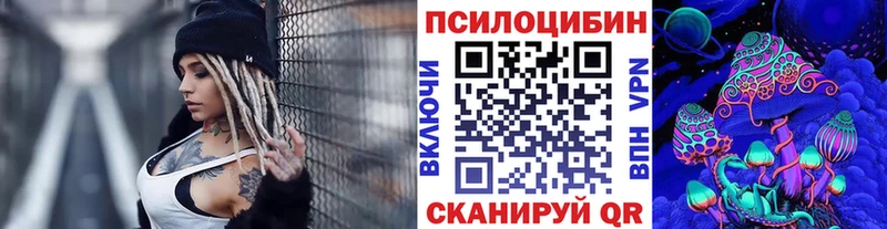 Псилоцибиновые грибы Psilocybine cubensis  Сысерть 